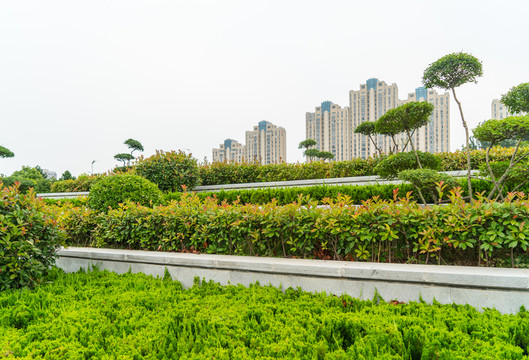 市政綠化