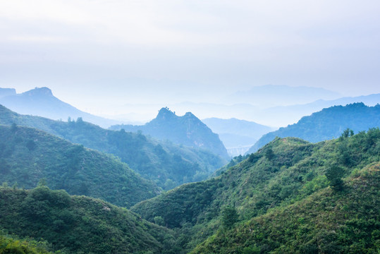 金山嶺