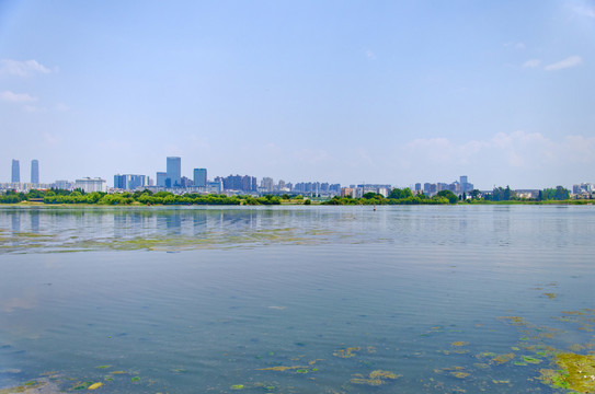 滇池草海