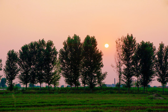 鄉(xiāng)村美景