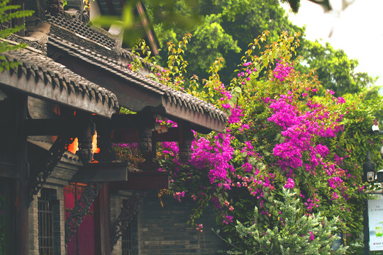 中國(guó)風(fēng)小巷子