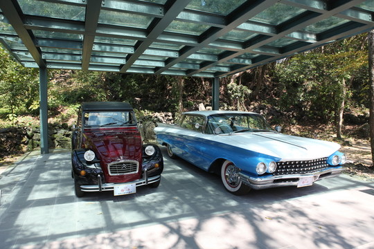 濟州 濟州島 韓國 旅游 汽車