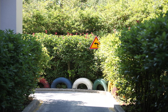 濟州 濟州島 韓國 旅游 汽車