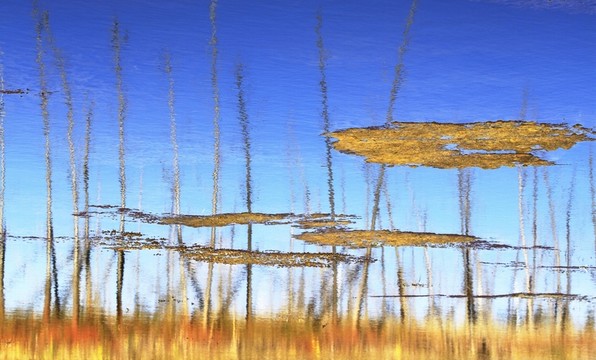 倒影