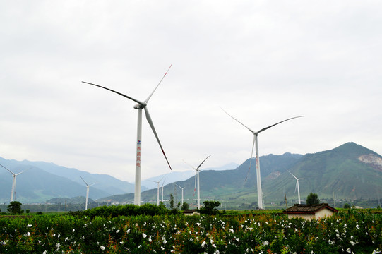 風力發(fā)電