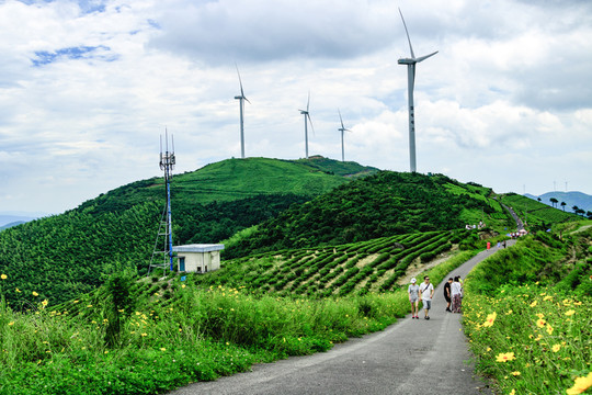 風(fēng)車公路 風(fēng)力發(fā)電機(jī) 風(fēng)力