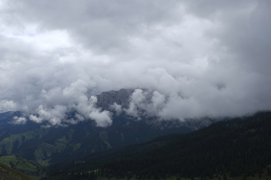 山