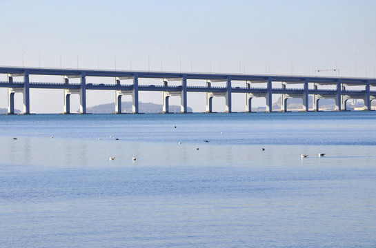大連星海風(fēng)光大橋