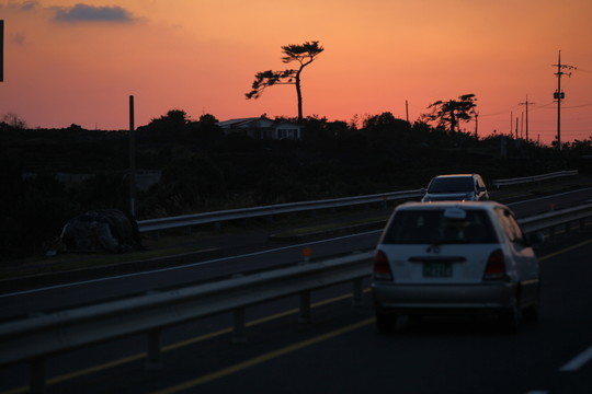 韓國 濟州 濟州島 交通 車輛