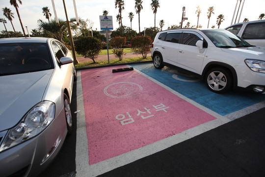 韓國 濟州 濟州島 交通 車輛