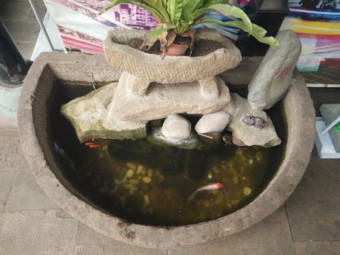 景觀園林