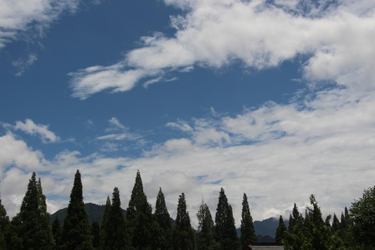 山