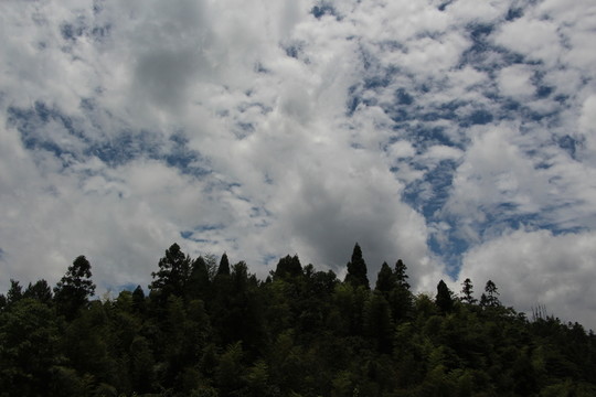 山