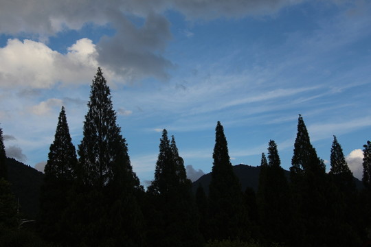 山