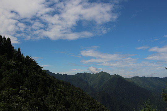 山
