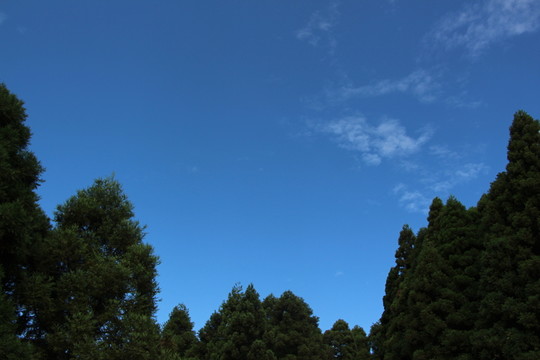 藍(lán)天