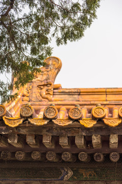 瓦當(dāng)