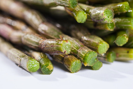 中藥鐵皮石斛花干石斛卷
