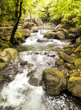 山澗溪流