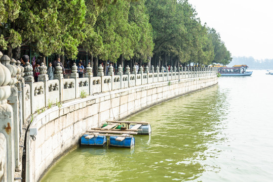 湖岸綠道