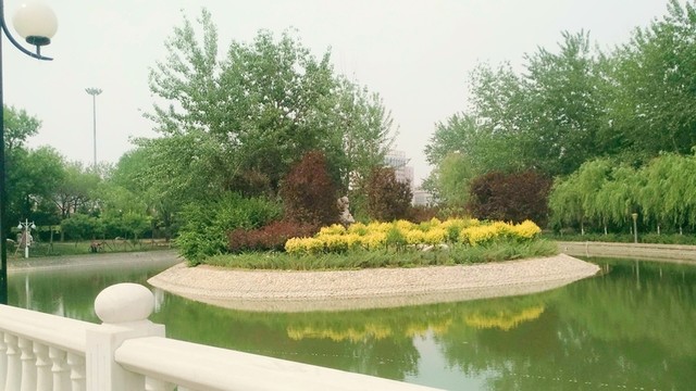 天津河邊