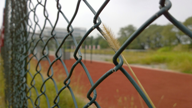 校園