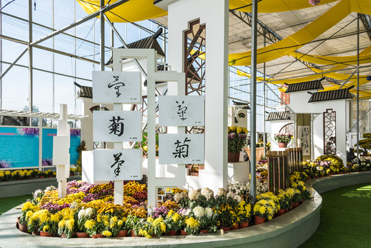菊花展廳