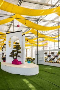 菊花展廳