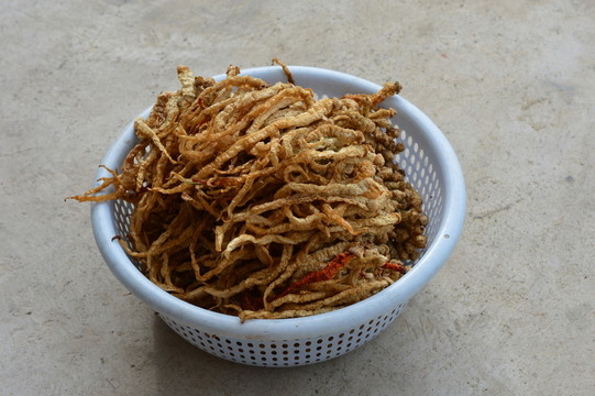 辣椒素材圖片
