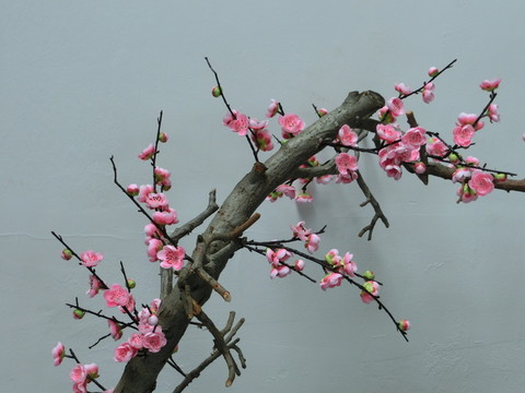 梅花