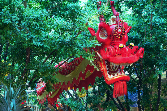 中國傳統(tǒng)龍