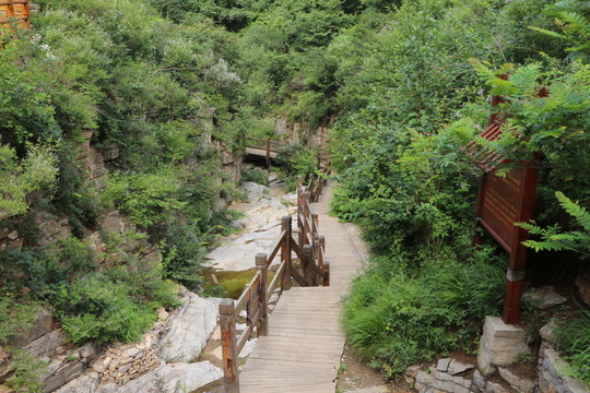登山路   爬山