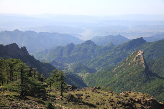 蘆芽山