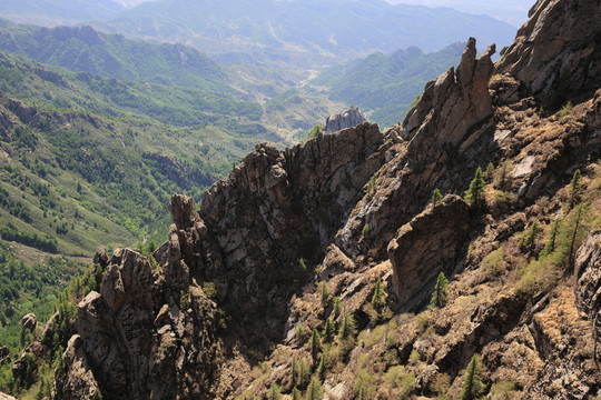 蘆芽山