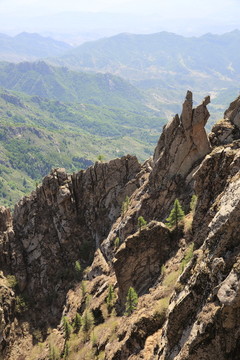 蘆芽山
