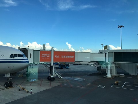 深圳機(jī)場 航站樓 機(jī)場 航空