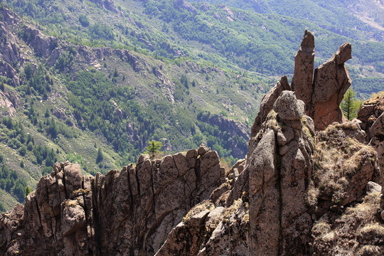 蘆芽山