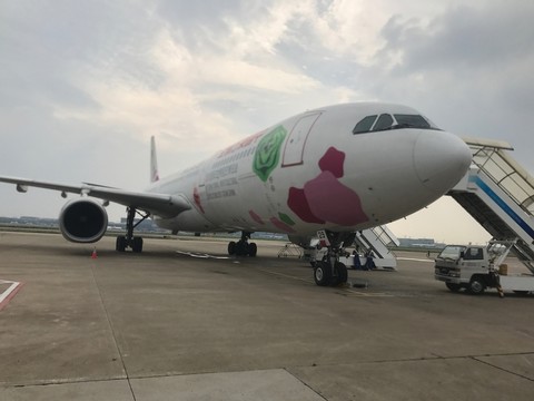 機場 飛機 飛行 運輸 旅行
