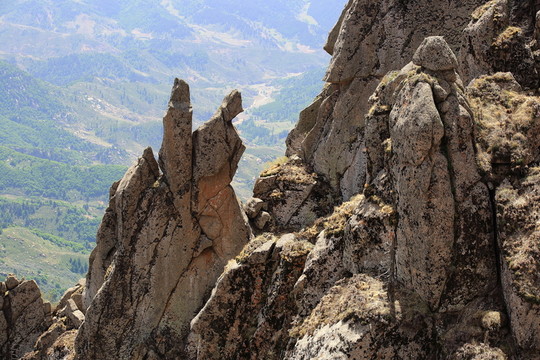 蘆芽山