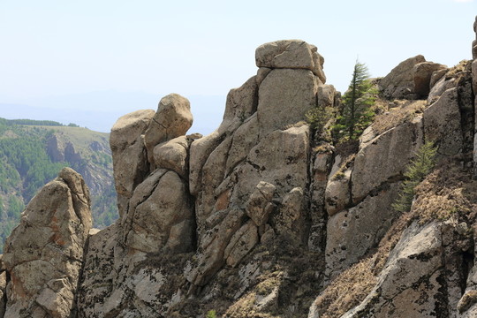 蘆芽山