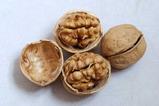 核桃