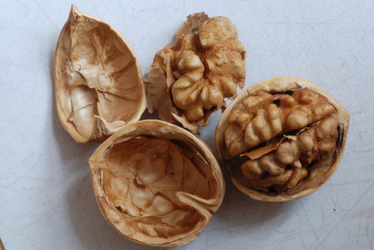 薄皮核桃