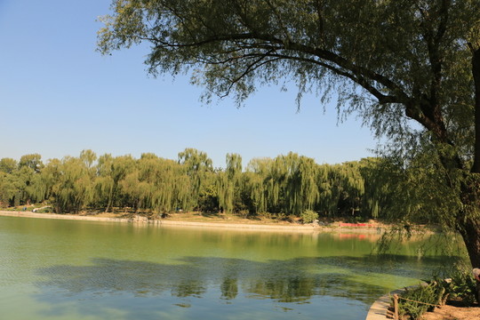 玉淵潭
