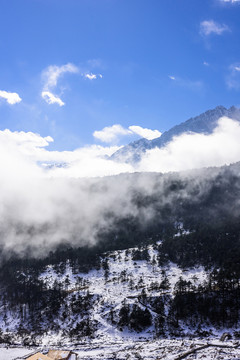 高山云霧美景