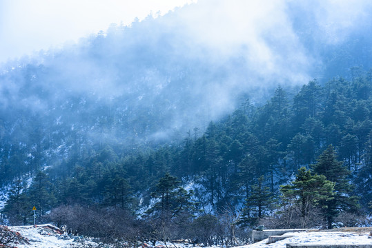 高山云霧美景