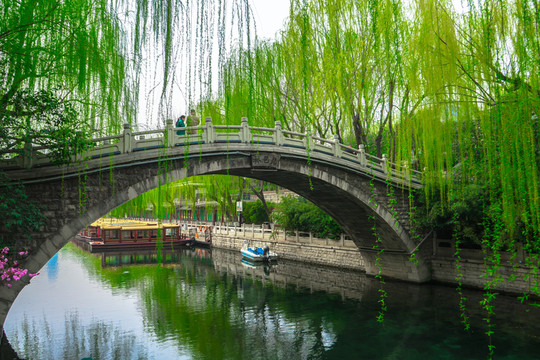 垂柳池塘 拱橋 濟(jì)南城市名片