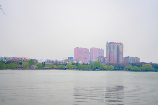 大明湖