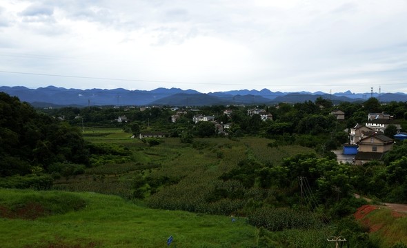 風(fēng)景 鄉(xiāng)村風(fēng)景 綠地