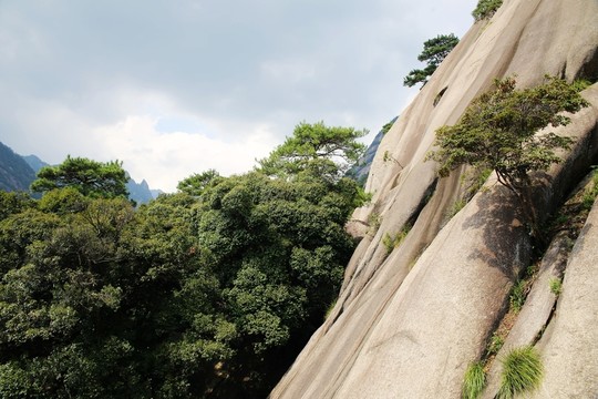 黃山