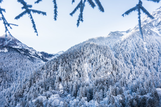 雪后的山林
